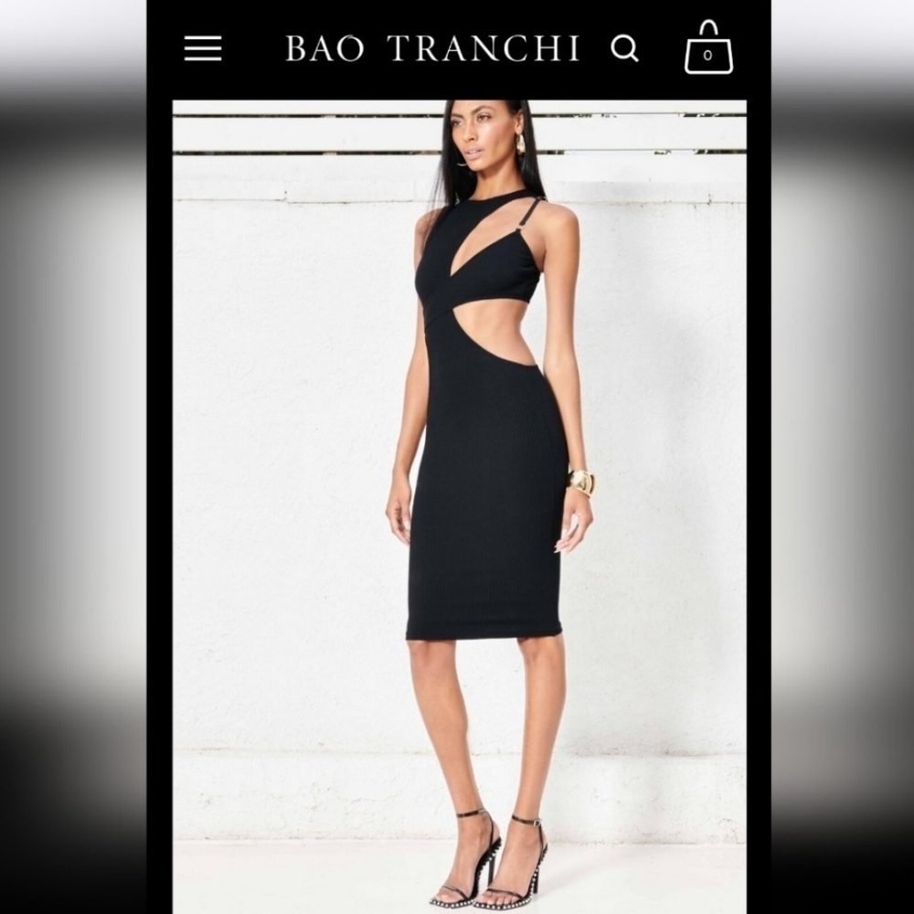 Bao Tranchi NWTs The Crescent Dress - Picture 5 of 10